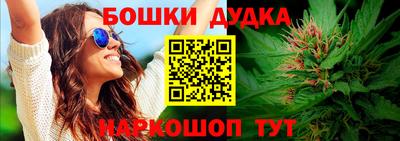 jwh Сланцы