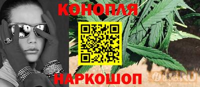 PSILOCYBIN Славгород