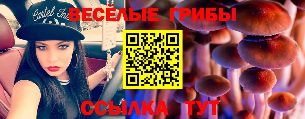 Галлюциногенные грибы ЛСД Саров