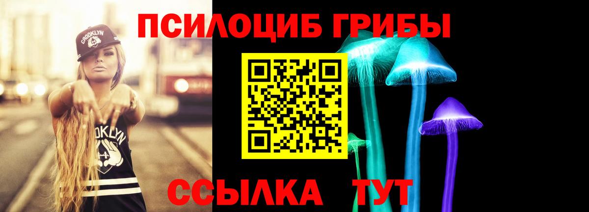 Галлюциногенные грибы MAGIC MUSHROOMS  Вход с VPN  купить   Саров  Галлюциногенные грибы Cubensis 